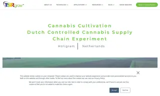 Preview of the Holigram Case Study