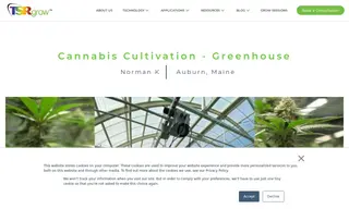 Preview of the Norman K Case Study