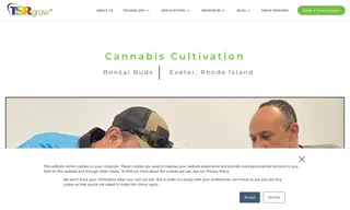 Preview of the Bonsai Buds Case Study