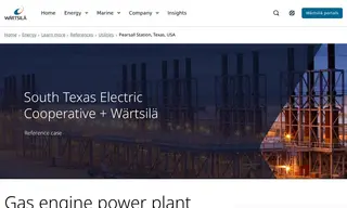 Preview of the South Texas Electric Cooperative Case Study