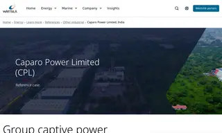 Preview of the Caparo Power Limited Case Study