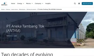 Preview of the PT Aneka Tambang Tbk (antam) Case Study