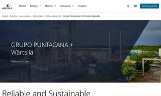 Preview of the Corporación Turística De Servicios Puntacana Case Study
