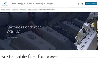 Preview of the Cartones Ponderosa S.A. De C.V Case Study