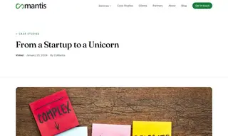 Preview of the Vinted Case Study