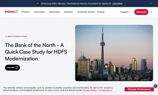 Preview of the The Bank of the North Case Study