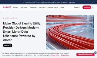 Preview of the Major Global Electric Utility Provider Case Study
