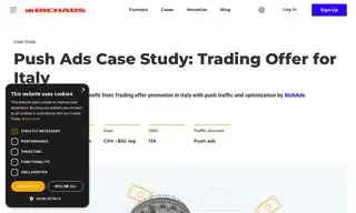 Preview of the Solo Marketer Case Study