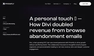 Preview of the Divi Case Study