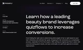 Preview of the Luxy Hair Case Study