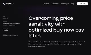 Preview of the Luxy Hair Case Study