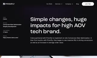 Preview of the Cobra Case Study