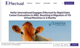 Preview of the Heifer International Case Study