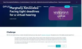 Preview of the Marghany Advocates Case Study