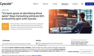 Preview of the Bays Consulting Case Study