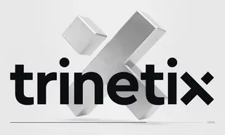 Preview of the Fortune 100 Company Case Study