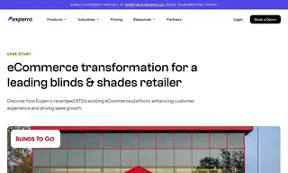 Preview of the Blinds to Go (btg) Case Study