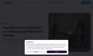 Preview of the Blue & Co., LLC Case Study