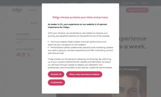 Preview of the BlueLink Case Study