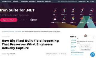 Preview of the Big Pixel Case Study