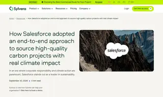 Preview of the Salesforce Case Study
