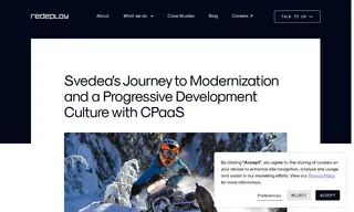 Preview of the Svedea Case Study