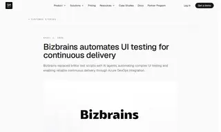 Preview of the Bizbrains Case Study