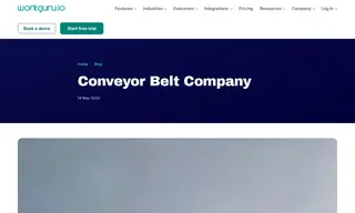 Preview of the Conveyor Belt Company Case Study