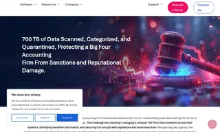 Preview of the Big Four Accounting Firm Case Study