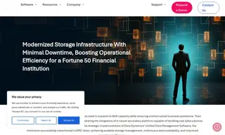 Preview of the Fortune 50 Financial Institution Case Study