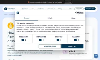 Preview of the Pineapple Consulting Firm Case Study