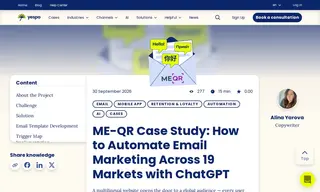 Preview of the Netpeak Case Study