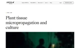 Preview of the Node Labs Case Study