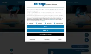 Preview of the Vaillant Group Case Study
