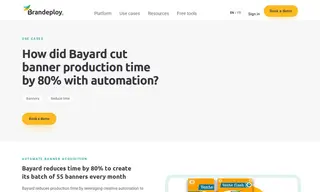 Preview of the Bayard Case Study