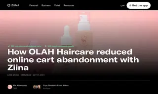 Preview of the OLAH Haircare Case Study