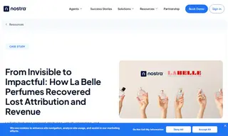 Preview of the La Belle Perfumes Case Study