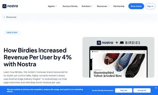 Preview of the Birdies Case Study