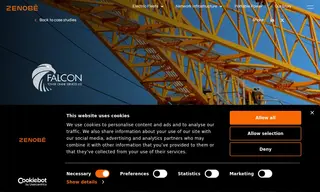 Preview of the Falcon Cranes Case Study