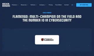 Preview of the Flamengo Case Study