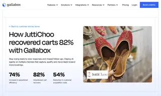 Preview of the JuttiChoo Case Study