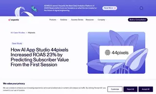 Preview of the 44pixels Case Study