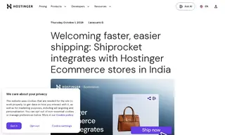 Preview of the Hostinger Ecommerce Case Study
