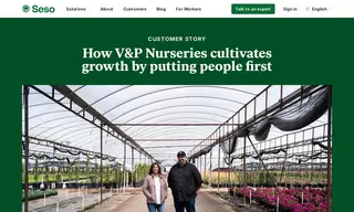 Preview of the V&P Nurseries Case Study