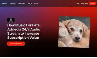 Preview of the Music For Pets Case Study
