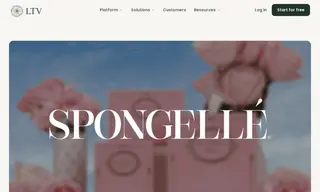 Preview of the Spongelle Case Study