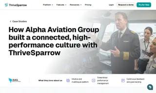 Preview of the Alpha Aviation Group Case Study