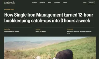 Preview of the Single Iron Management Case Study