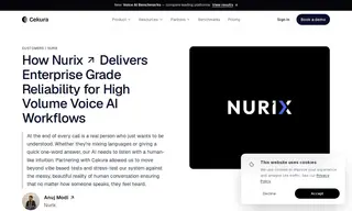 Preview of the Nurix Case Study