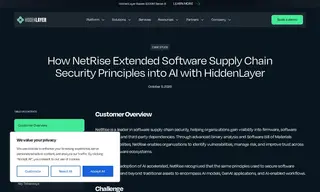 Preview of the NetRise Case Study